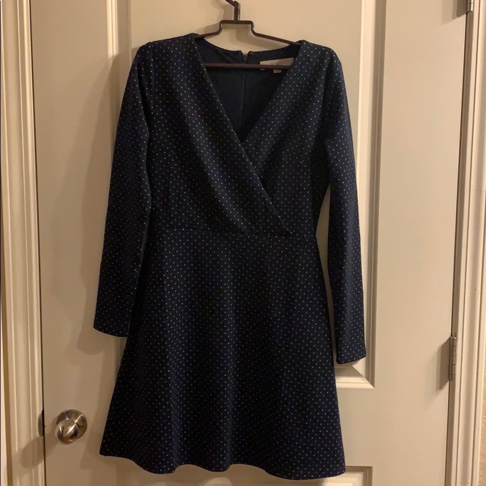 Blue and White Polka Dot Dress
